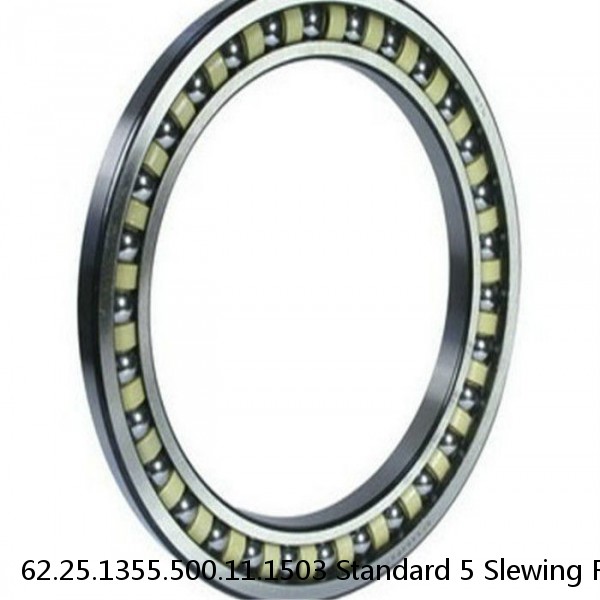 62.25.1355.500.11.1503 Standard 5 Slewing Ring Bearings