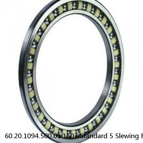 60.20.1094.500.01.1503 Standard 5 Slewing Ring Bearings