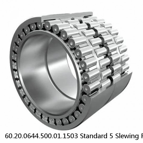 60.20.0644.500.01.1503 Standard 5 Slewing Ring Bearings