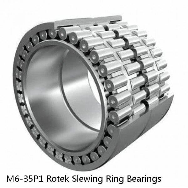 M6-35P1 Rotek Slewing Ring Bearings