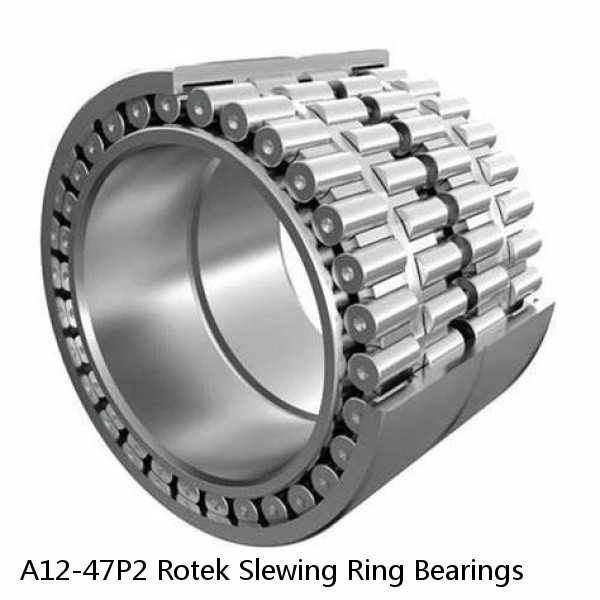 A12-47P2 Rotek Slewing Ring Bearings