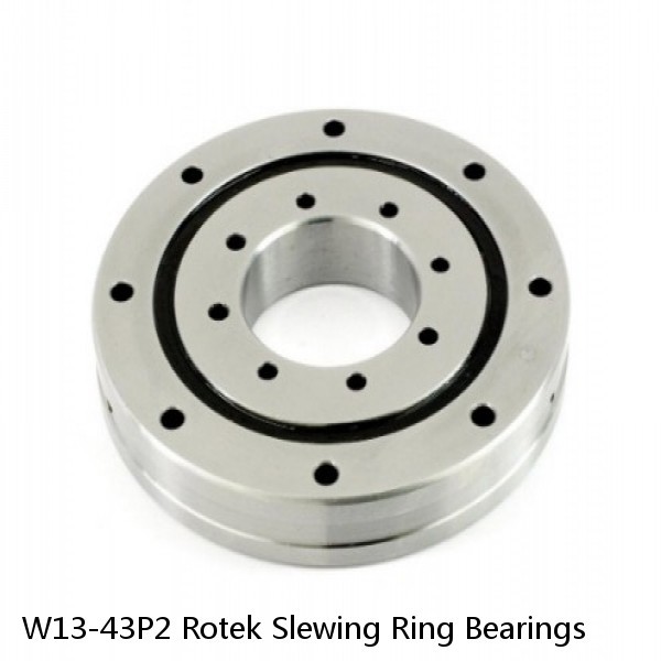 W13-43P2 Rotek Slewing Ring Bearings