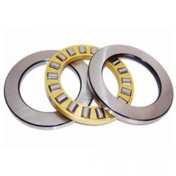 NCF 3004 CV Cylindrical Roller Bearings 20*42*16mm