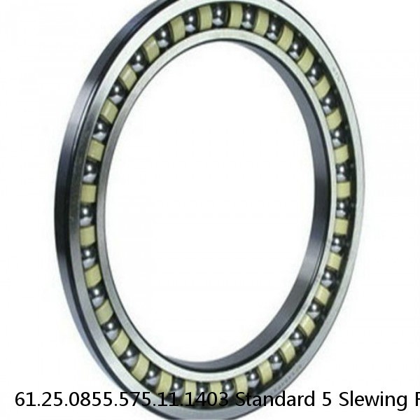 61.25.0855.575.11.1403 Standard 5 Slewing Ring Bearings