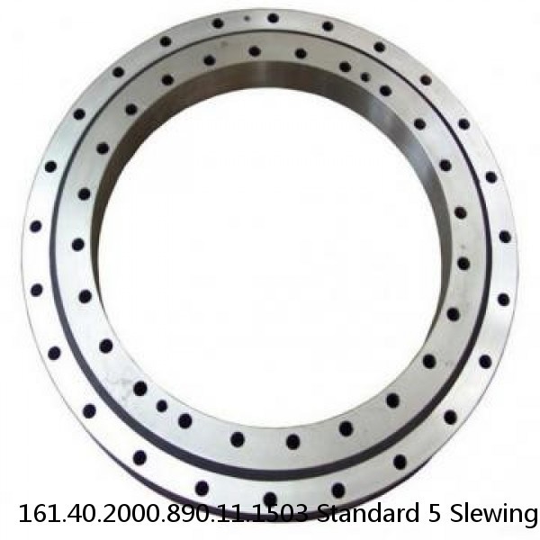 161.40.2000.890.11.1503 Standard 5 Slewing Ring Bearings