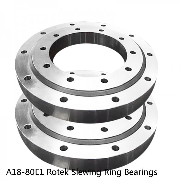 A18-80E1 Rotek Slewing Ring Bearings