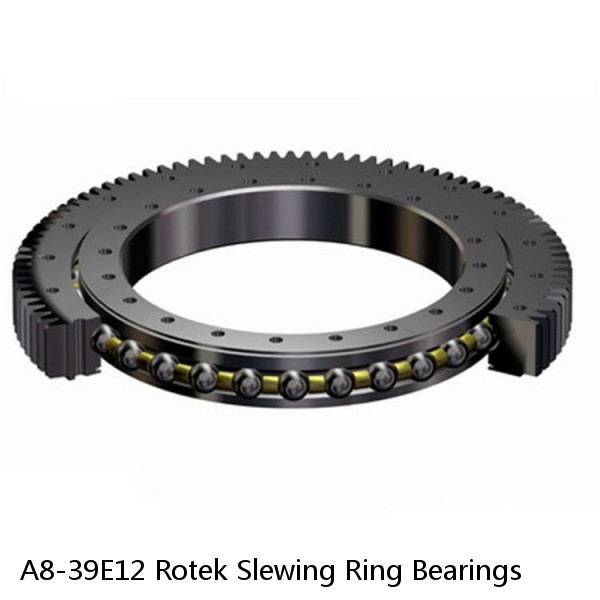 A8-39E12 Rotek Slewing Ring Bearings