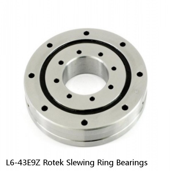 L6-43E9Z Rotek Slewing Ring Bearings