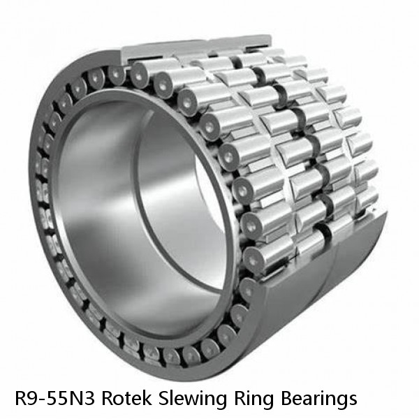 R9-55N3 Rotek Slewing Ring Bearings