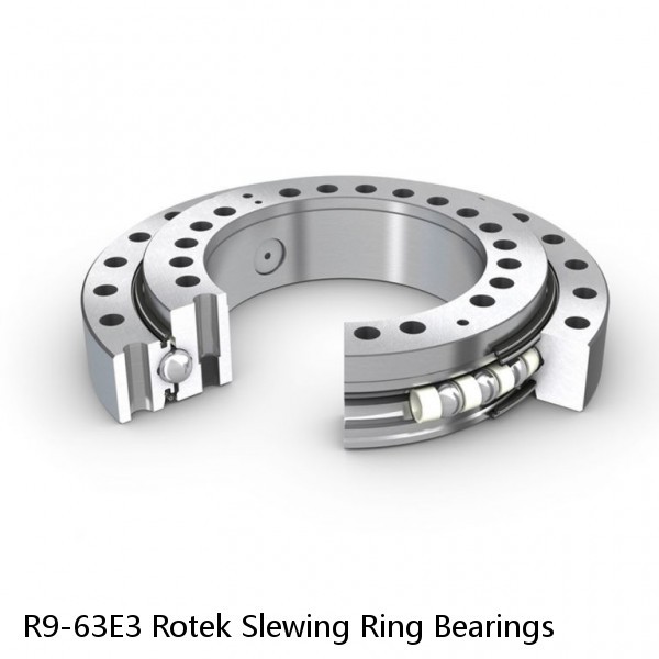 R9-63E3 Rotek Slewing Ring Bearings