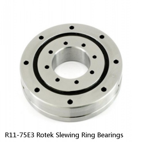 R11-75E3 Rotek Slewing Ring Bearings