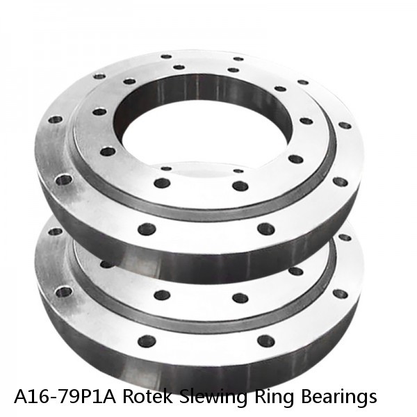 A16-79P1A Rotek Slewing Ring Bearings