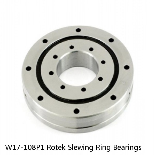 W17-108P1 Rotek Slewing Ring Bearings