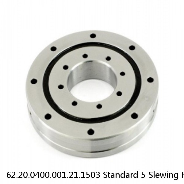 62.20.0400.001.21.1503 Standard 5 Slewing Ring Bearings