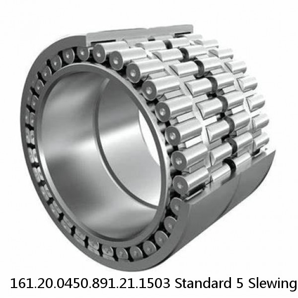 161.20.0450.891.21.1503 Standard 5 Slewing Ring Bearings