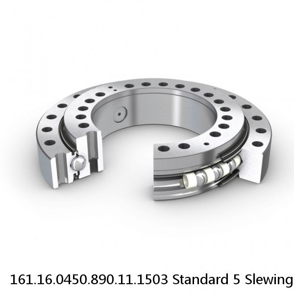 161.16.0450.890.11.1503 Standard 5 Slewing Ring Bearings