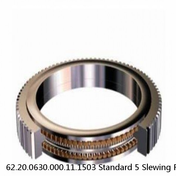 62.20.0630.000.11.1503 Standard 5 Slewing Ring Bearings