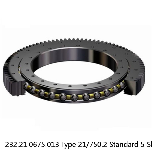 232.21.0675.013 Type 21/750.2 Standard 5 Slewing Ring Bearings