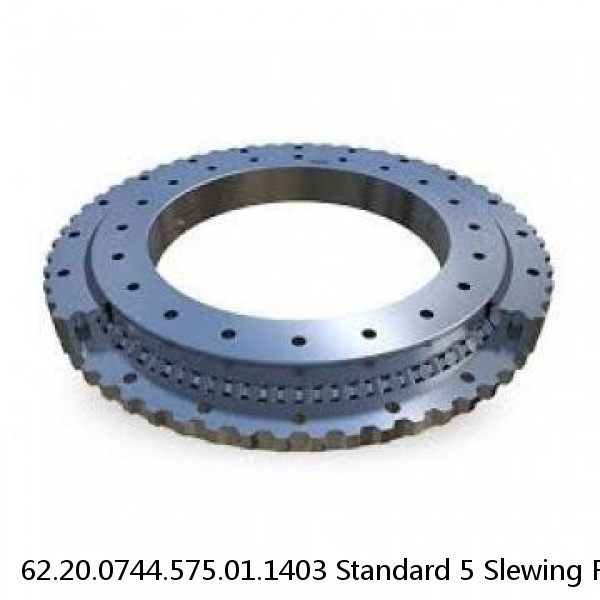 62.20.0744.575.01.1403 Standard 5 Slewing Ring Bearings