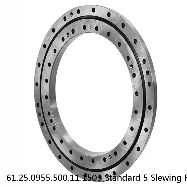 61.25.0955.500.11.1503 Standard 5 Slewing Ring Bearings