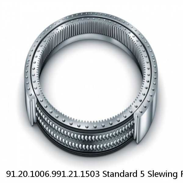 91.20.1006.991.21.1503 Standard 5 Slewing Ring Bearings