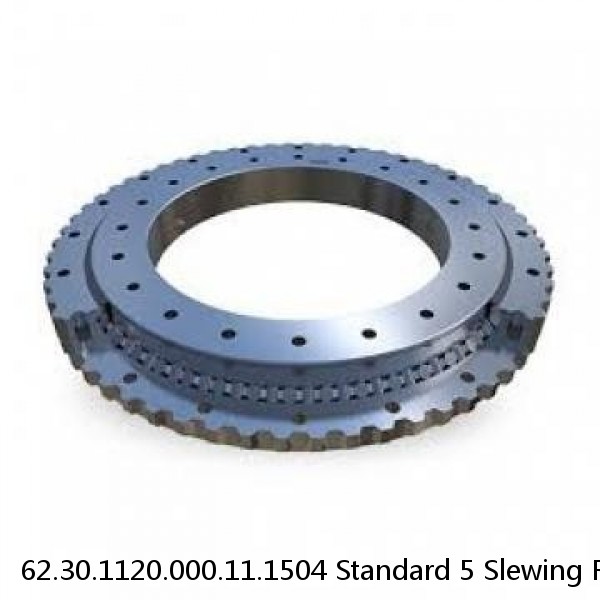 62.30.1120.000.11.1504 Standard 5 Slewing Ring Bearings