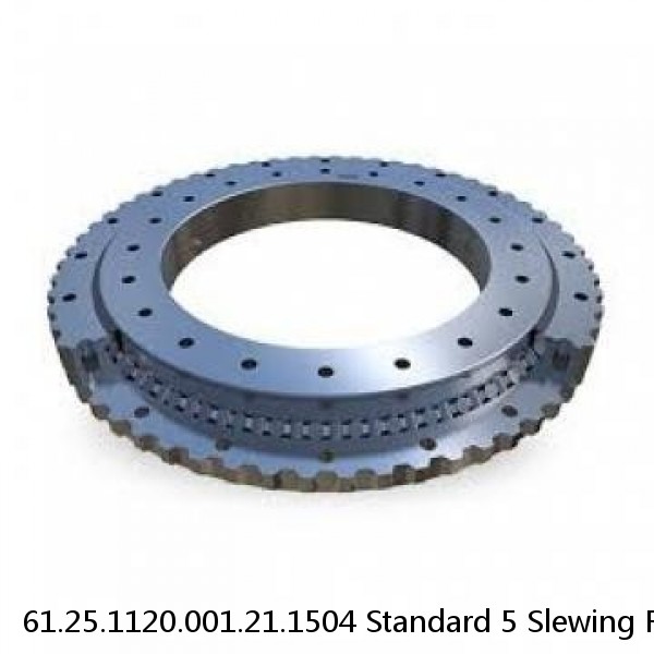 61.25.1120.001.21.1504 Standard 5 Slewing Ring Bearings