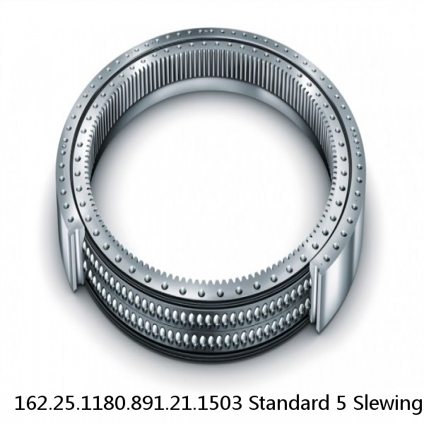 162.25.1180.891.21.1503 Standard 5 Slewing Ring Bearings