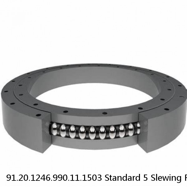 91.20.1246.990.11.1503 Standard 5 Slewing Ring Bearings