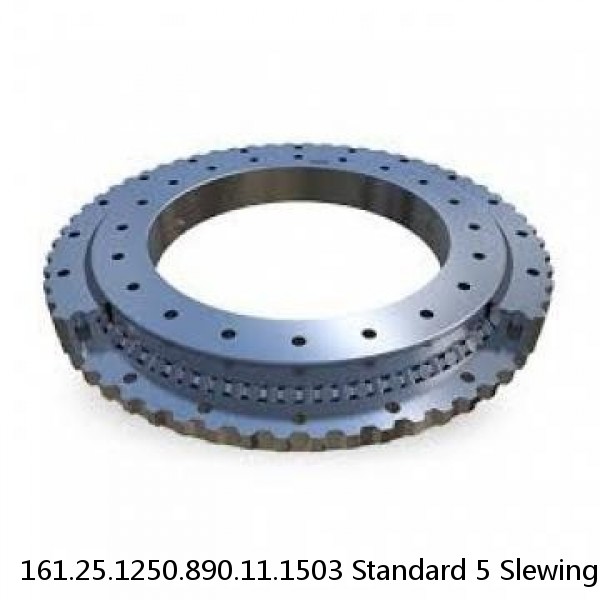 161.25.1250.890.11.1503 Standard 5 Slewing Ring Bearings