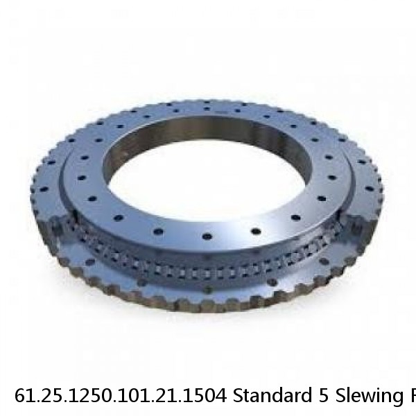 61.25.1250.101.21.1504 Standard 5 Slewing Ring Bearings