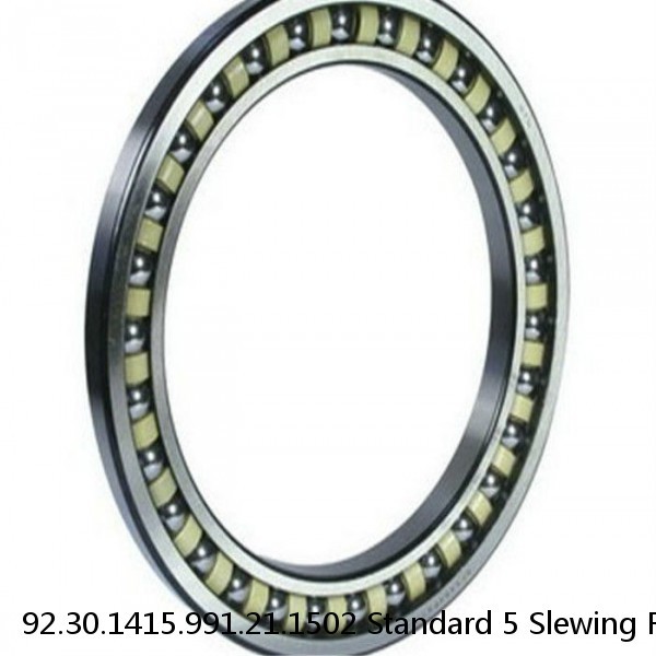 92.30.1415.991.21.1502 Standard 5 Slewing Ring Bearings