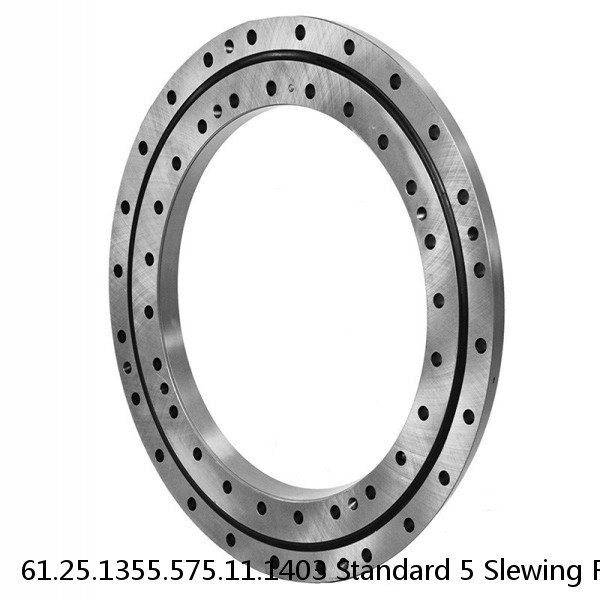 61.25.1355.575.11.1403 Standard 5 Slewing Ring Bearings