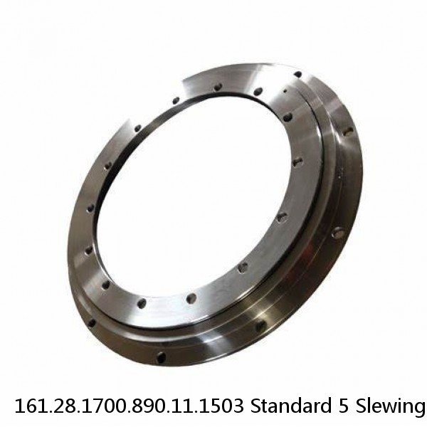 161.28.1700.890.11.1503 Standard 5 Slewing Ring Bearings