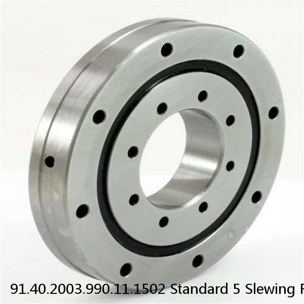 91.40.2003.990.11.1502 Standard 5 Slewing Ring Bearings