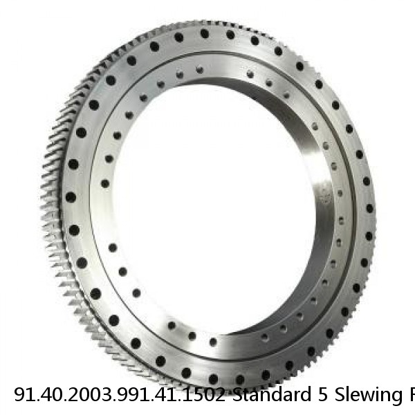 91.40.2003.991.41.1502 Standard 5 Slewing Ring Bearings