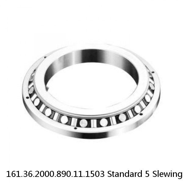 161.36.2000.890.11.1503 Standard 5 Slewing Ring Bearings