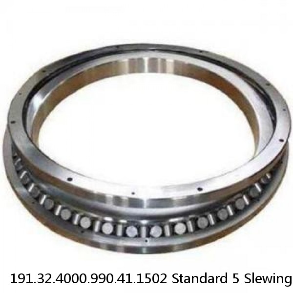 191.32.4000.990.41.1502 Standard 5 Slewing Ring Bearings