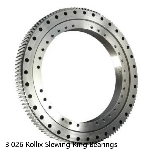 3 026 Rollix Slewing Ring Bearings