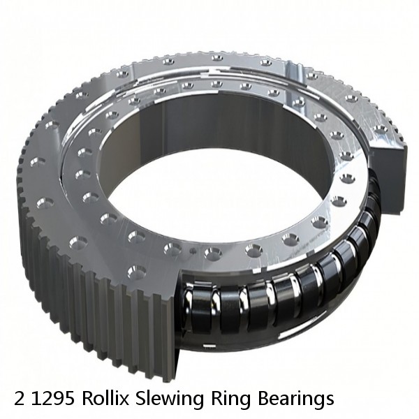 2 1295 Rollix Slewing Ring Bearings