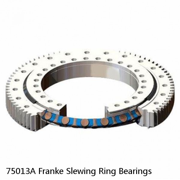 75013A Franke Slewing Ring Bearings