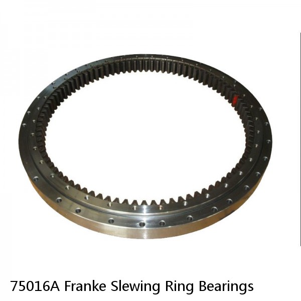 75016A Franke Slewing Ring Bearings