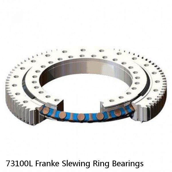 73100L Franke Slewing Ring Bearings