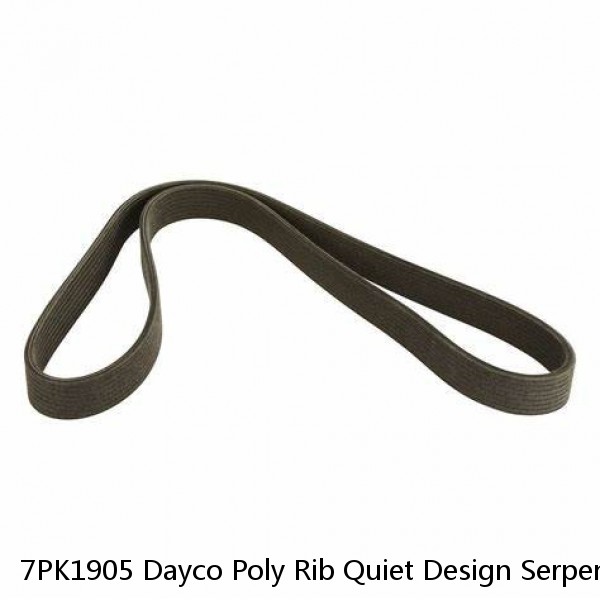 7PK1905 Dayco Poly Rib Quiet Design Serpentine Belt Free Shipping Free Returns