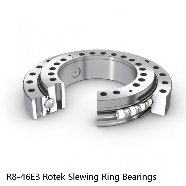 R8-46E3 Rotek Slewing Ring Bearings