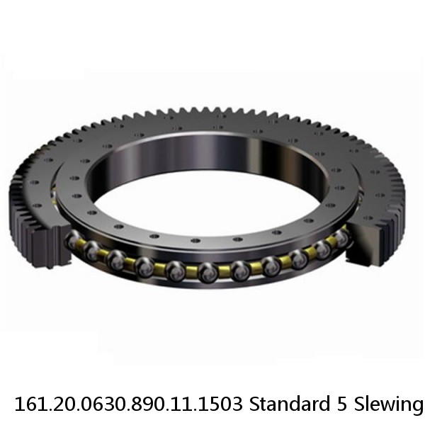 161.20.0630.890.11.1503 Standard 5 Slewing Ring Bearings