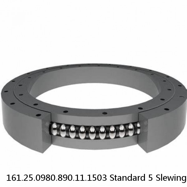 161.25.0980.890.11.1503 Standard 5 Slewing Ring Bearings