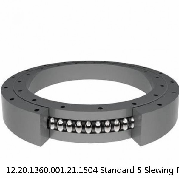 12.20.1360.001.21.1504 Standard 5 Slewing Ring Bearings