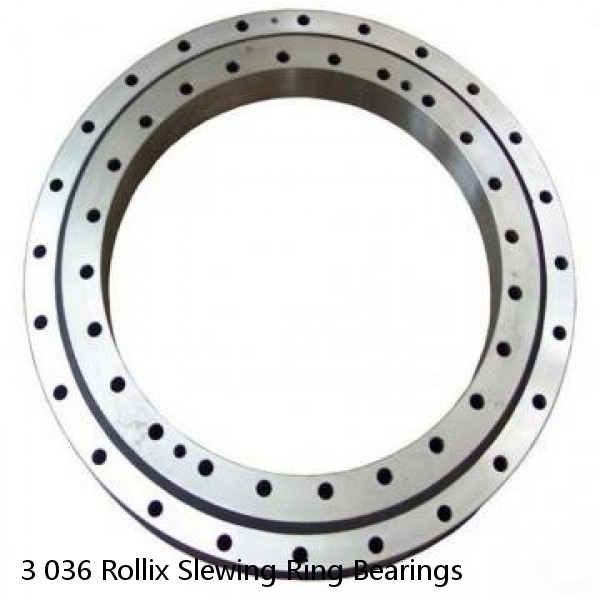 3 036 Rollix Slewing Ring Bearings