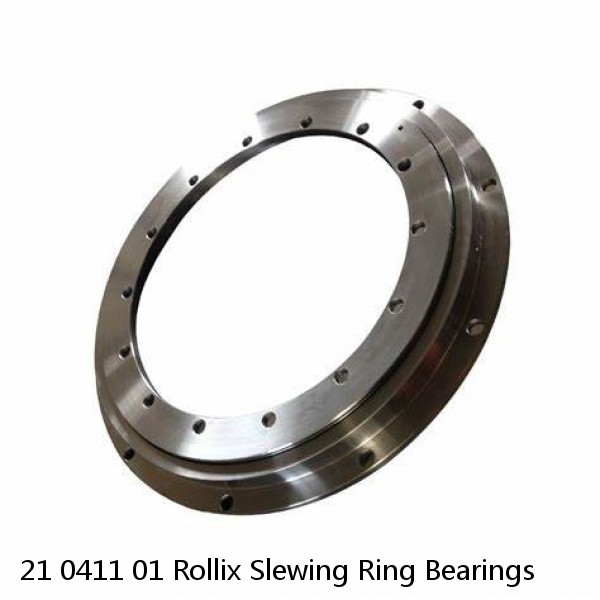 21 0411 01 Rollix Slewing Ring Bearings